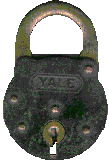 animatedimage