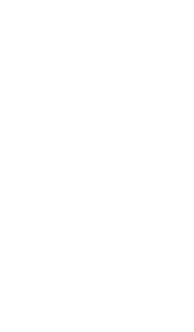the Bear hunter