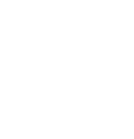 the lady in the chair