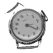 animatedimage